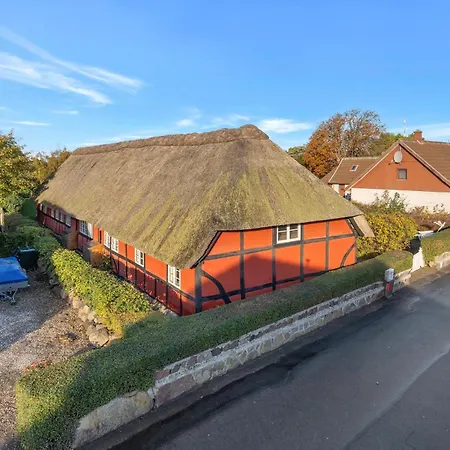 Cozy In With Wifi Daire